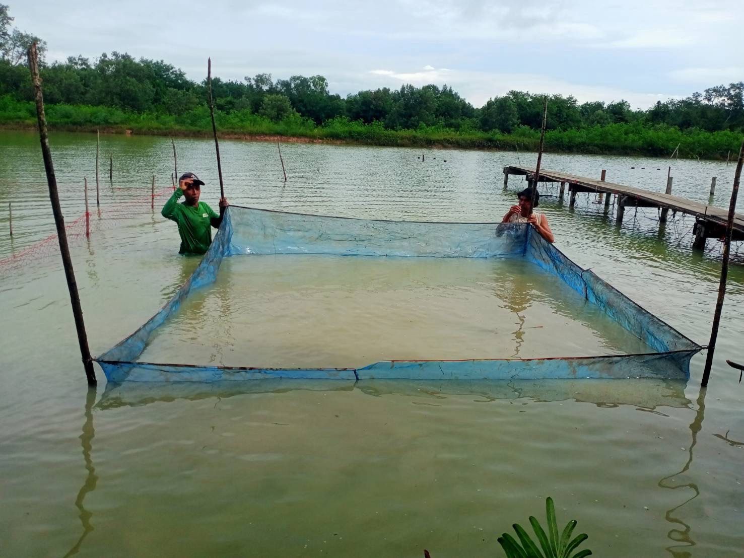 กรมประมง..สุดเจ๋ง ไขรหัสงานวิจัย ปลดล็อกเทคนิคการเพาะเลี้ยง “หอยแครง” สำเร็จเล็งสร้างผลผลิตลูกพันธุ์คุณภาพ ลดการพึ่งพาธรรมชาติ เตรียมต่อยอดสู่เชิงพาณิชย์ 12 644847