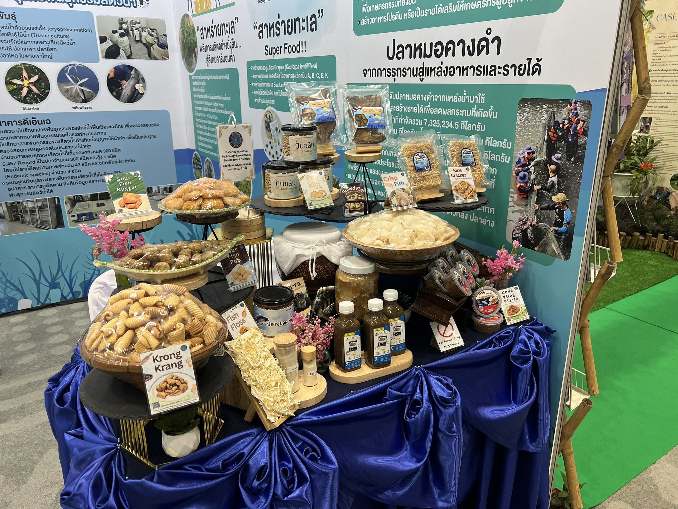 กรมประมง..ร่วมโชว์แนวคิด “ฟื้นฟูความหลากหลาย สร้างอนาคตการผลิตสัตว์น้ำสู่ความยั่งยืน”ในงานประชุมวิชาการนานาชาติ IBD 2025 8 650502