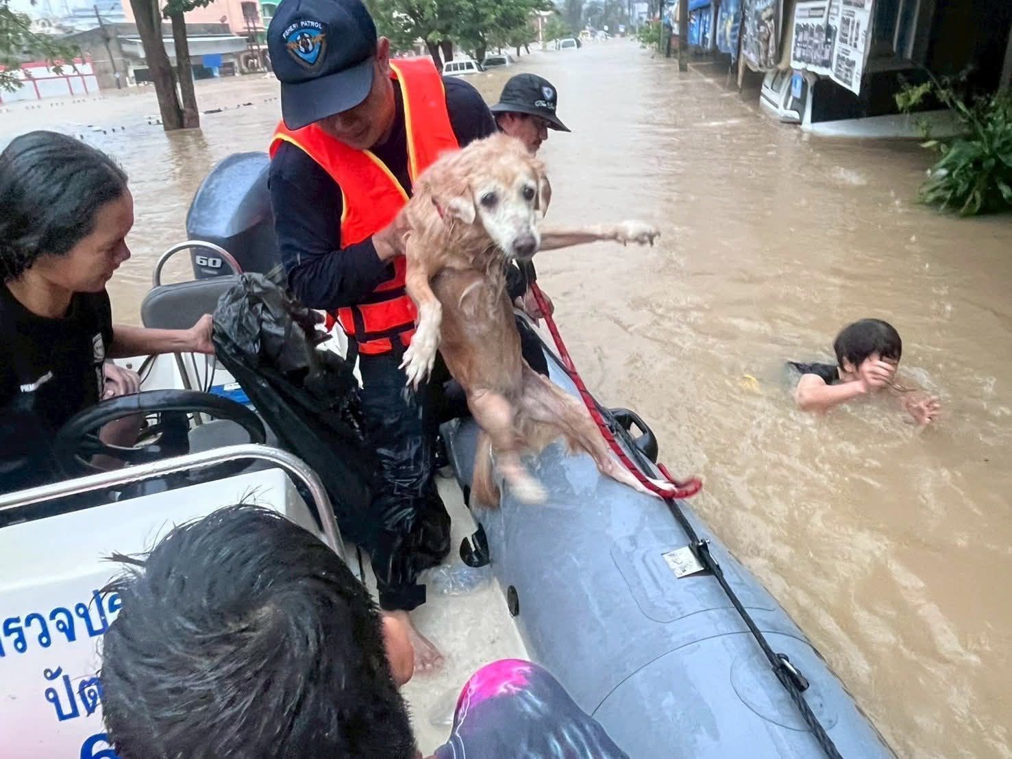 “อธิบดีกรมประมง” จัดชุดเฉพาะกิจปฏิบัติการพิเศษลงพื้นที่จังหวัดสงขลา เร่งช่วยชาวใต้สู้ภัยน้ำท่วม 7 675349