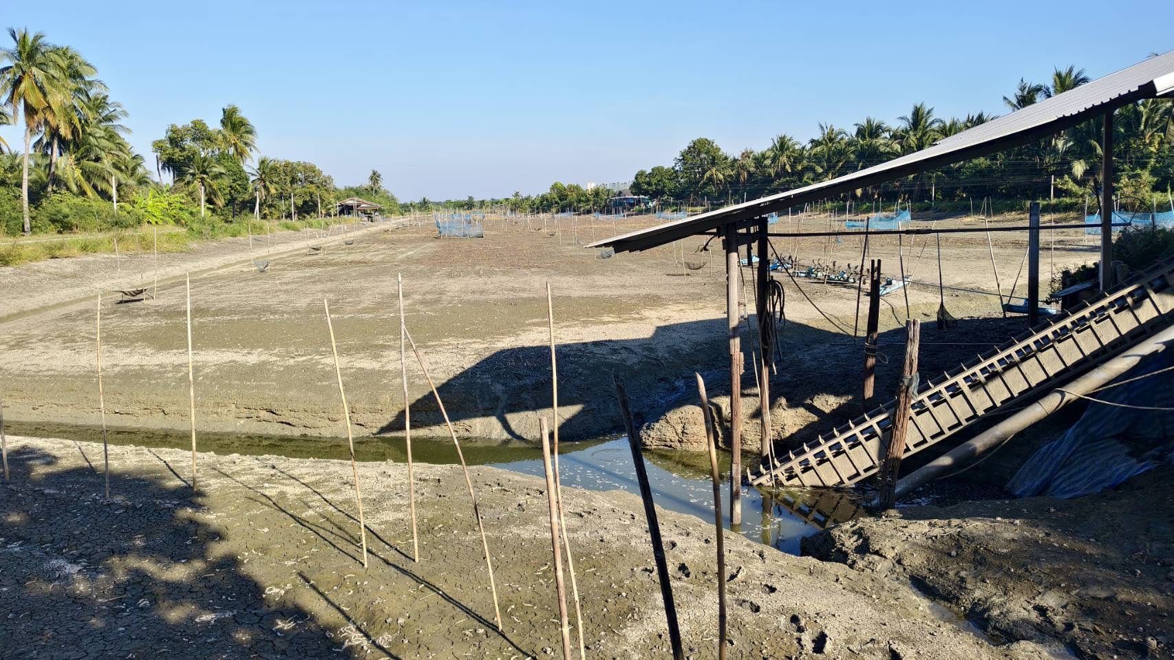 กรมประมง..เร่งช่วยเกษตรกร จ.ราชบุรี แก้ปัญหาการเลี้ยงปลาสลิดวางมาตรการช่วยเหลือทั้งระยะสั้น - ยาว พร้อมตั้งทีมเฉพาะกิจดูแลอย่างใกล้ชิด 5 682471