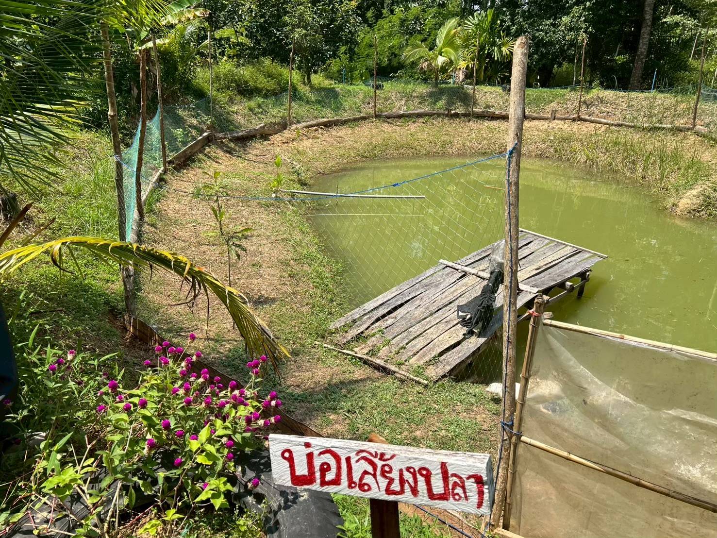 สศก. ชูผลประเมิน "เกษตรทฤษฎีใหม่" ช่วยเกษตรกรลดรายจ่ายครัวเรือน-ลดใช้สารเคมี 5 699444 0