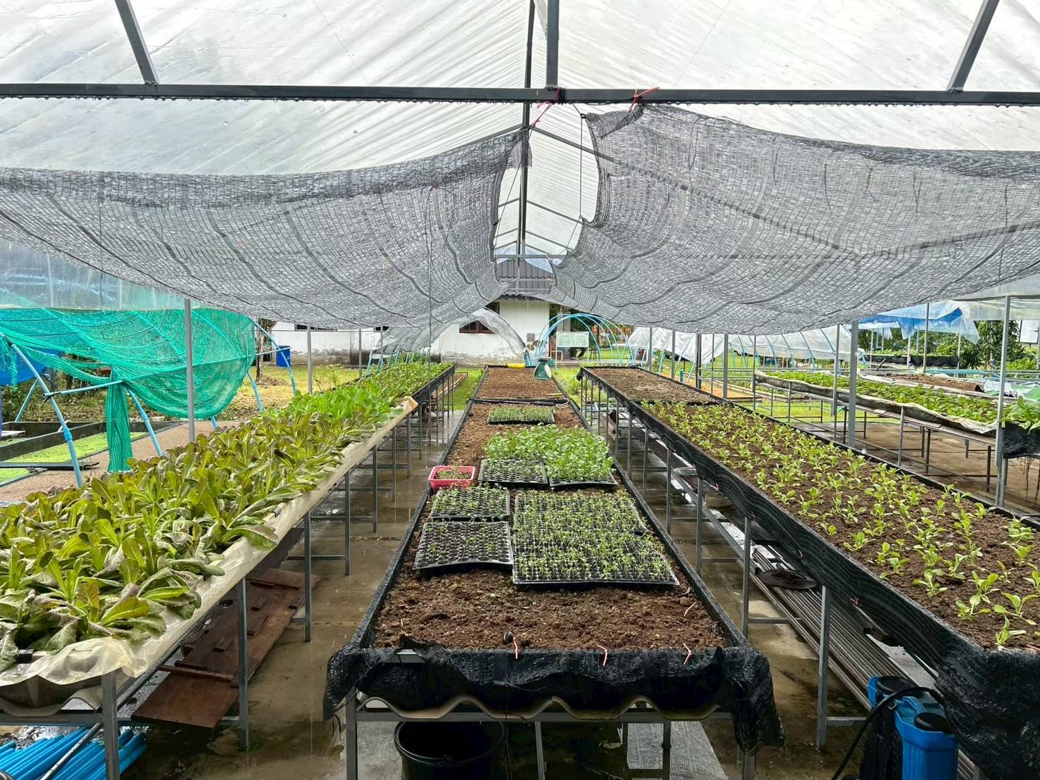 สศก. ชูผลประเมิน 699445 0