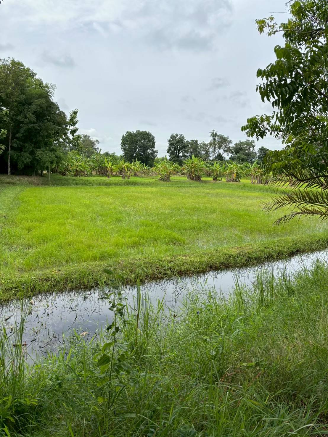 สศก. ชูผลประเมิน 699447 0