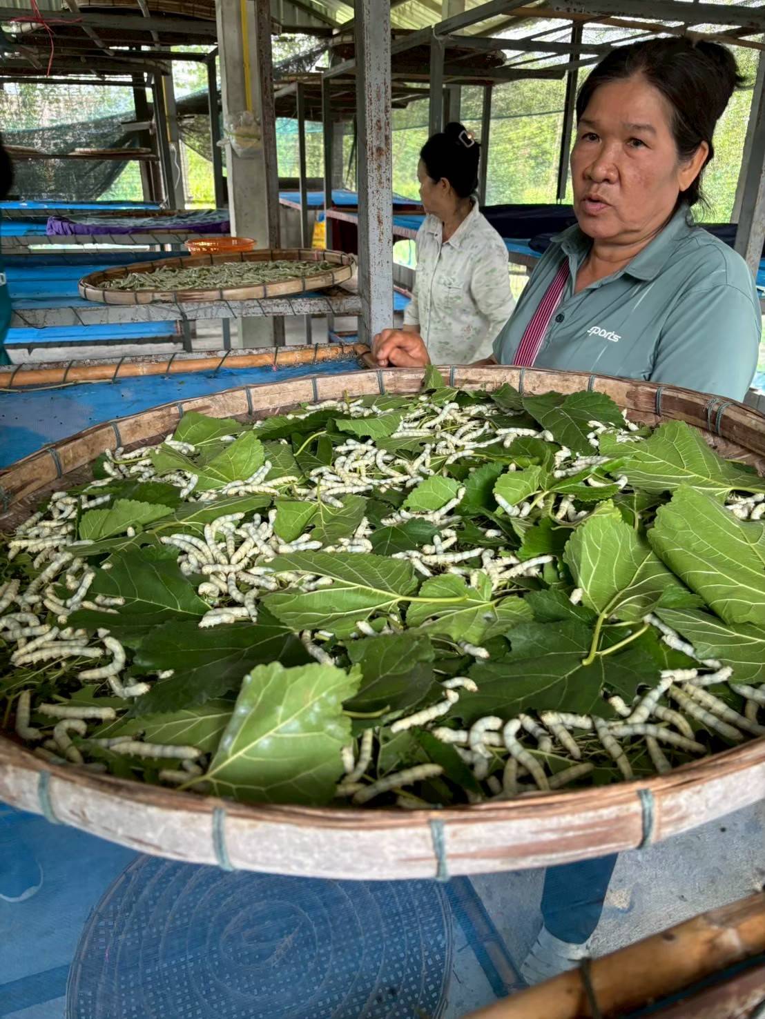 สศก. ชูผลประเมิน 699448 0