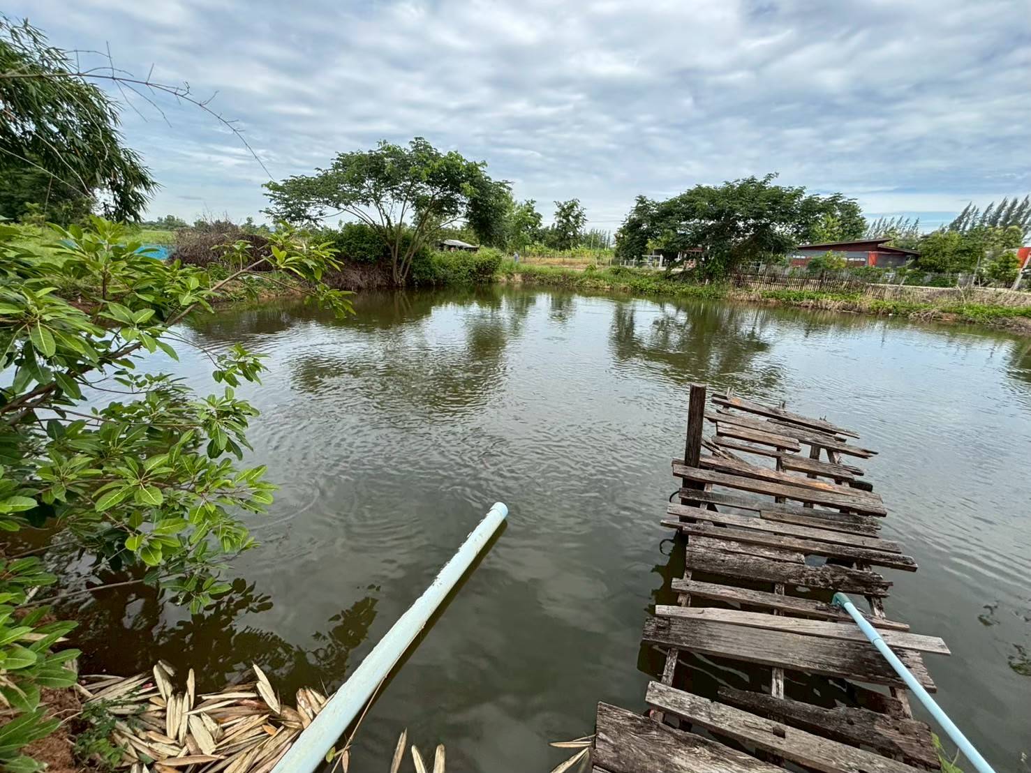 สศก. ชูผลประเมิน 699451 0