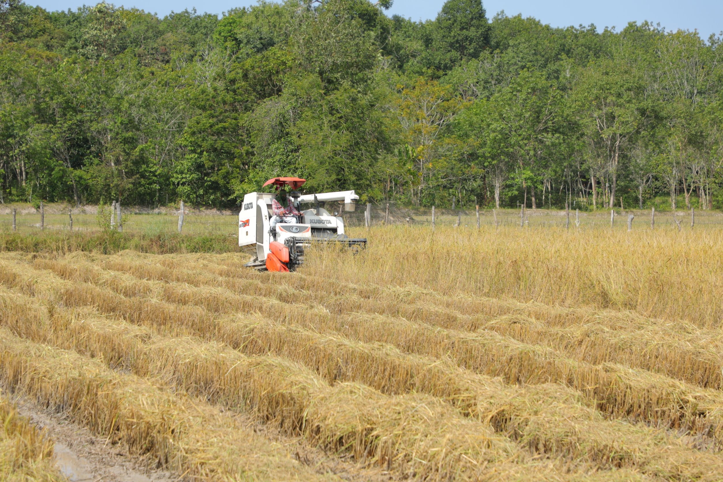 ส.ป.ก.นครพนม มุ่งเน้นการ 969641