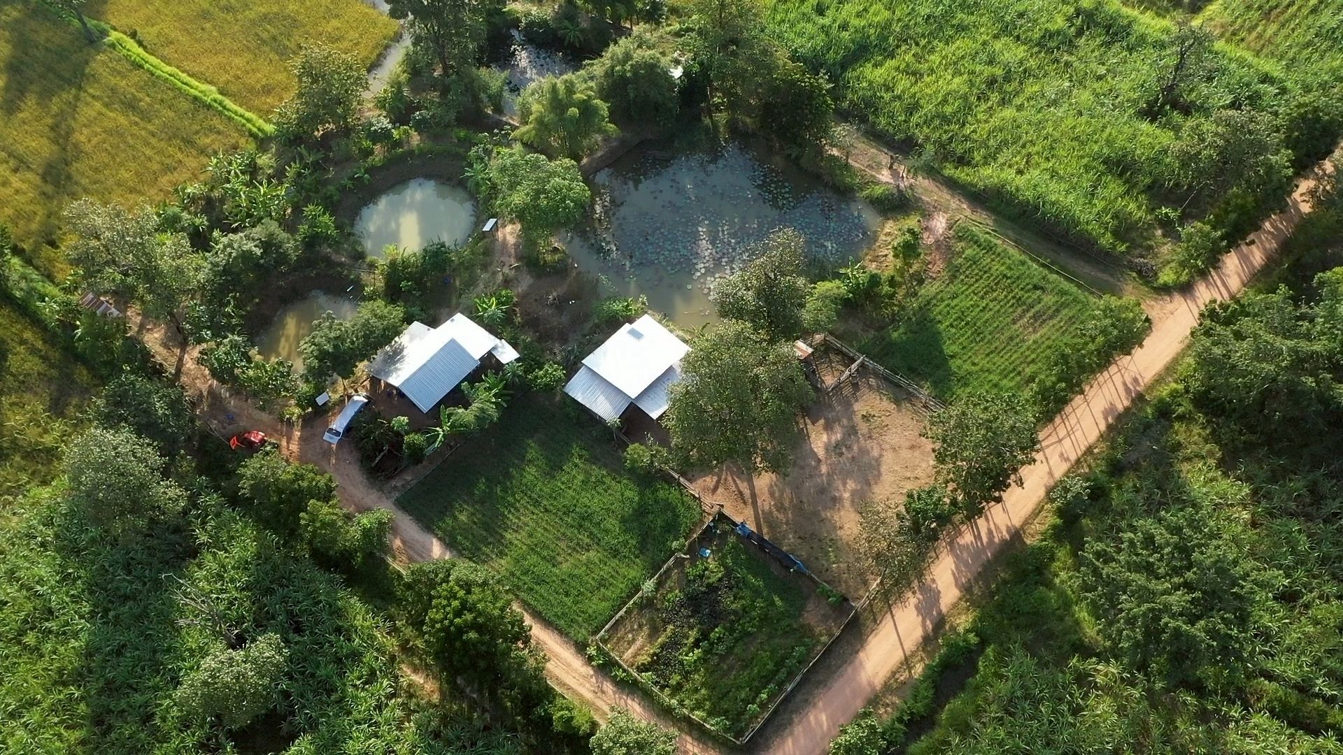 ส.ป.ก.ชัยภูมิ 970560