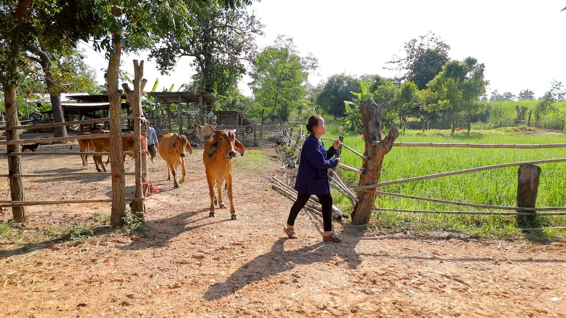 ส.ป.ก.ชัยภูมิ 970561