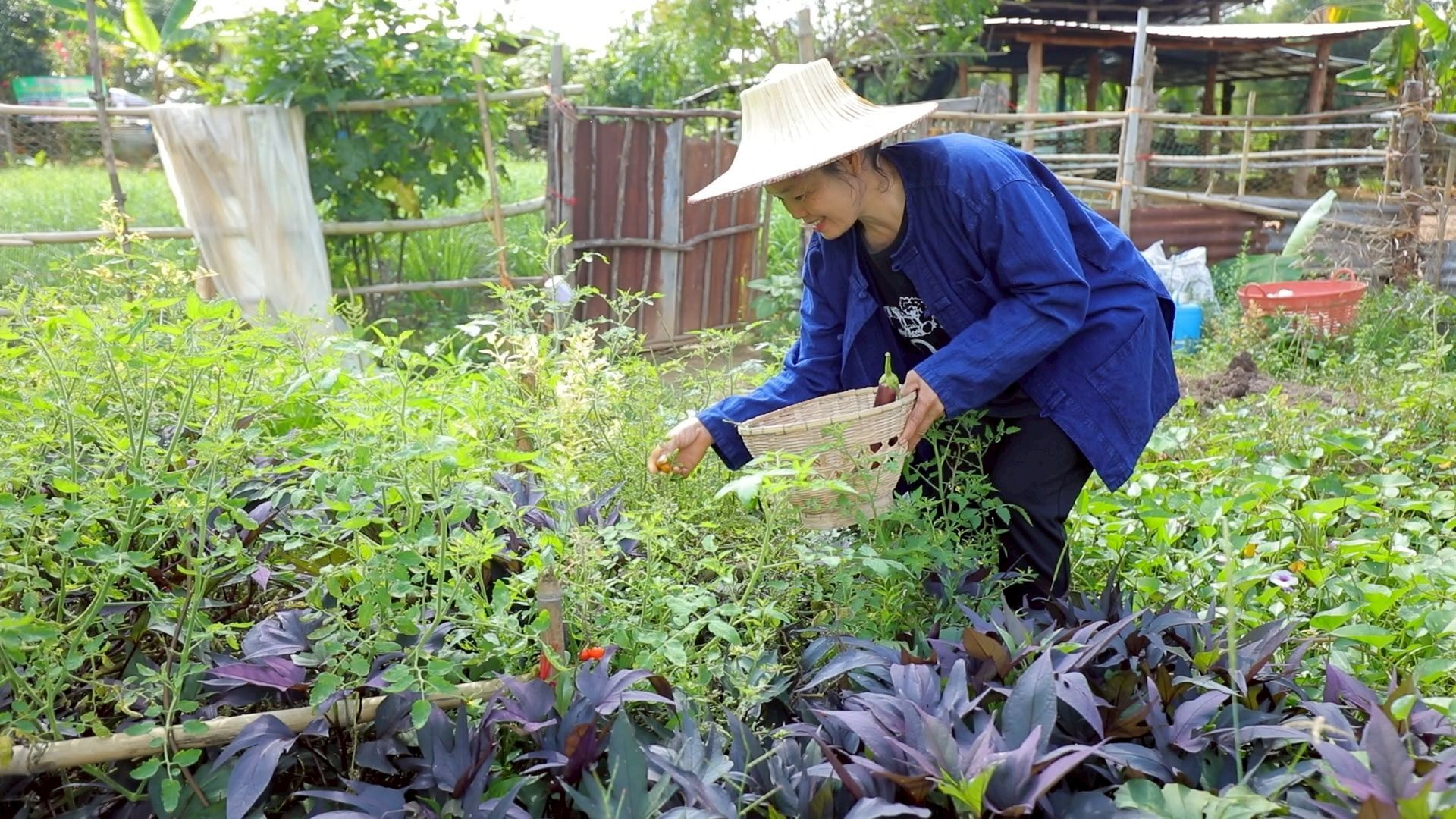 ส.ป.ก.ชัยภูมิ 970565