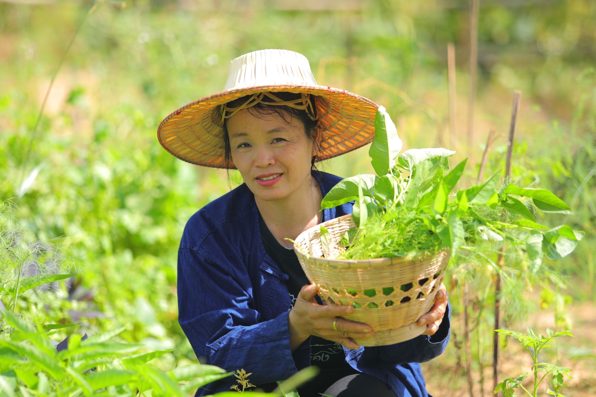 ส.ป.ก.ชัยภูมิ 970566