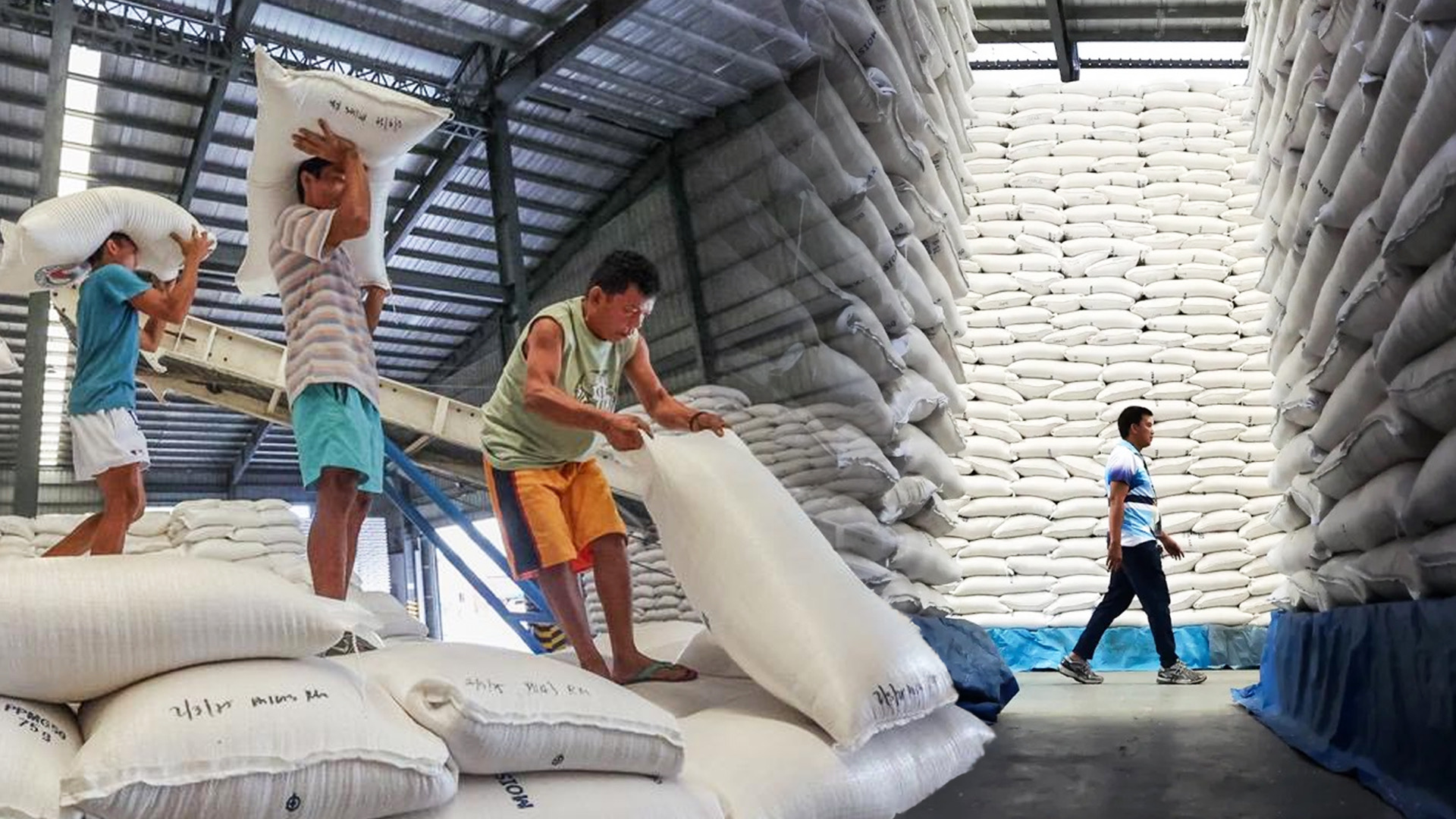 ฟิลิปปินส์ฝาก 'ตัวอย่างข้าว' นับพันเข้าอุโมงค์เมล็ดพันธุ์พืชแห่งสฟาลบาร์ 1 IMG 7015