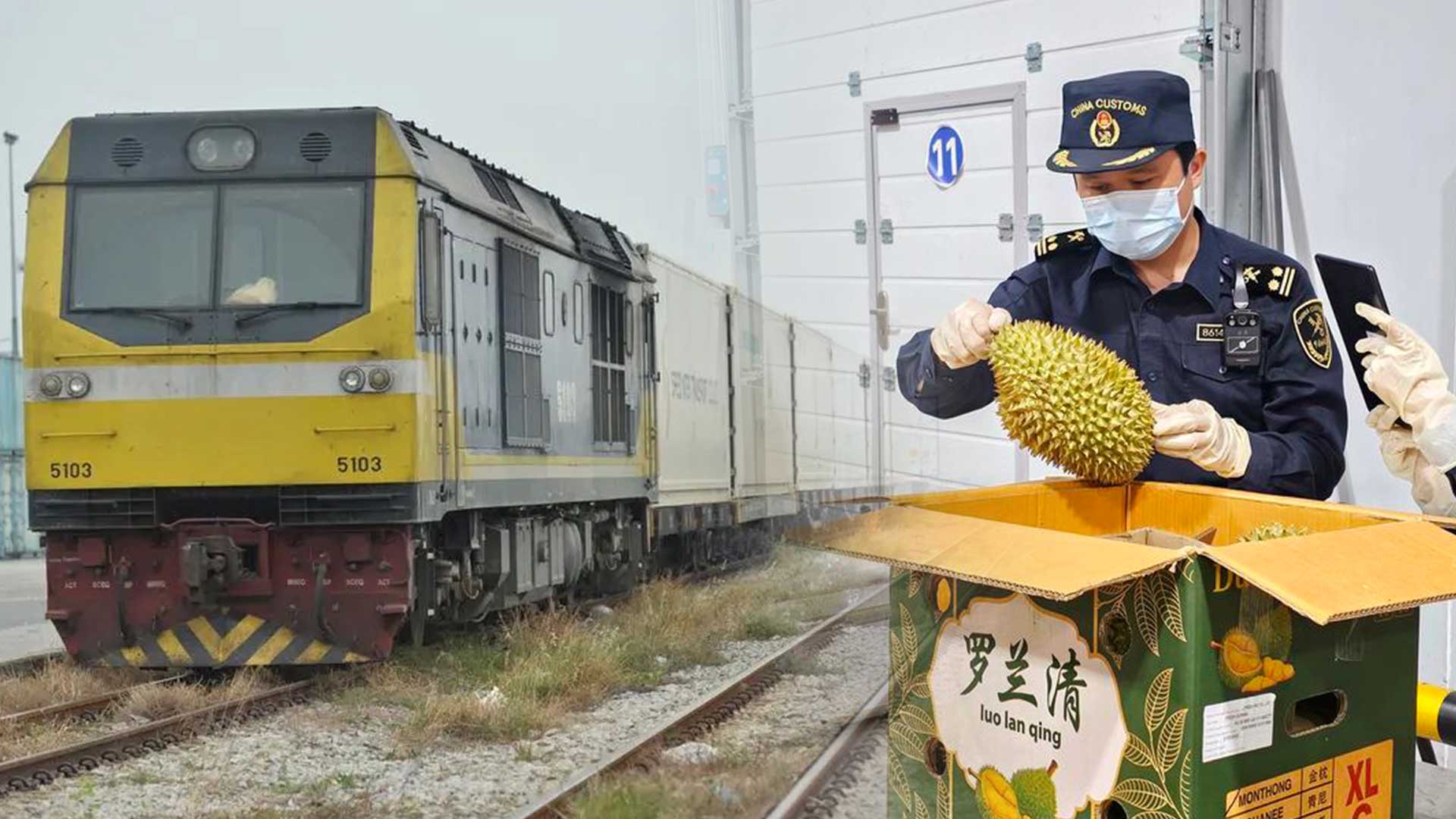 จีน-ไทย เปิดเพิ่ม 5 ด่านนำเข้าส่งออก 'ผลไม้' ผ่านประเทศที่สาม 1 IMG 7028