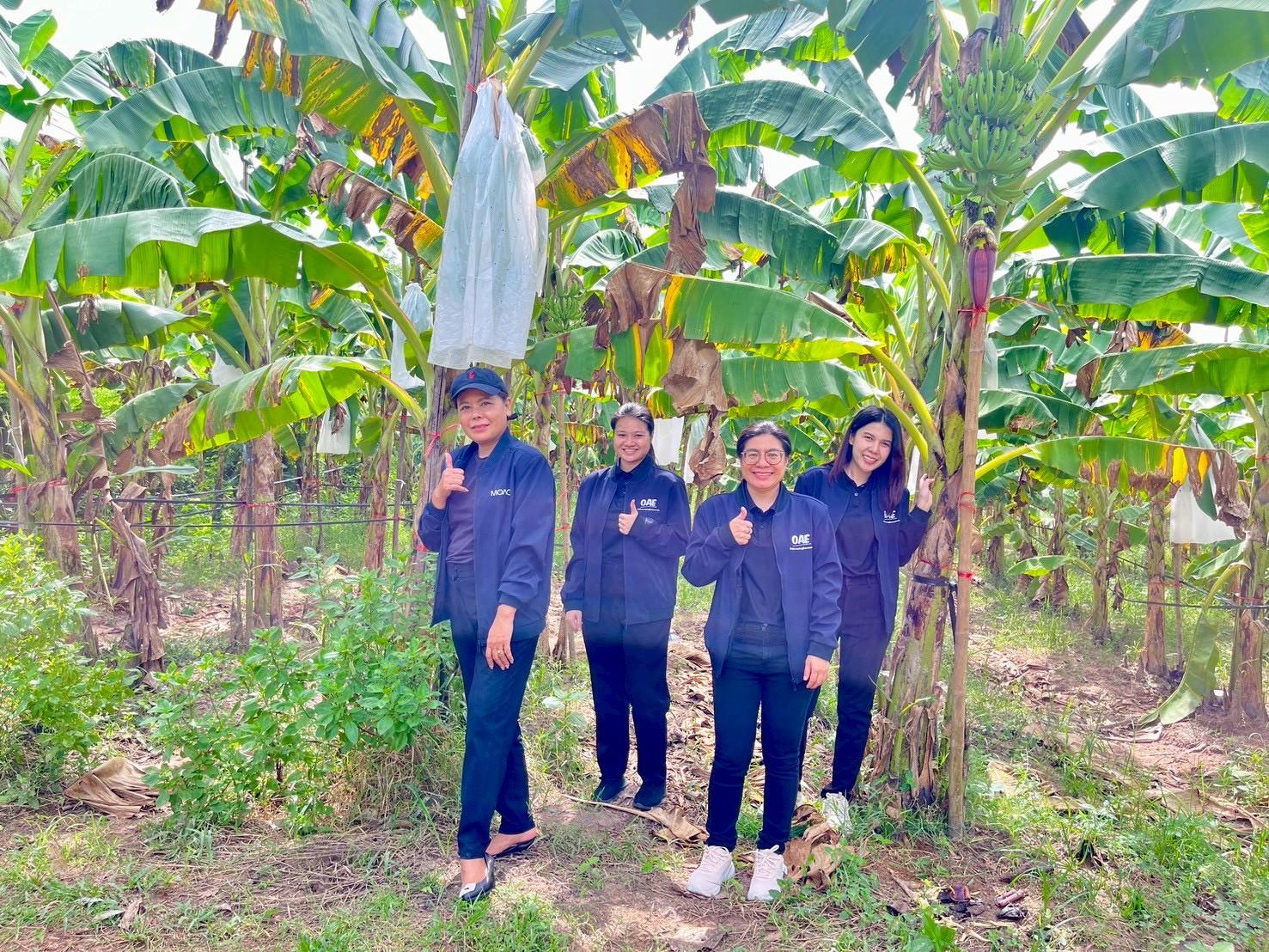 LINE ALBUM ข่าวกล้วยหอมทอง 251127 1 0