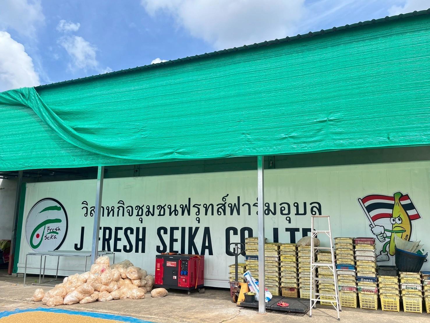 LINE ALBUM ข่าวกล้วยหอมทอง 251127 9 0