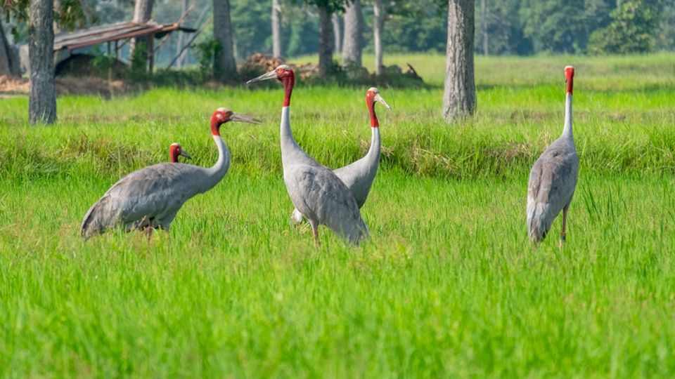 โมเดลความสำเร็จ ‘วิสาหกิจชุมชนข้าวอินทรีย์บ้านสวายสอ’ จ.บุรีรัมย์ แปรรูปข้าวอินทรีย์ แบรนด์ ‘ข้าวสารัช’ เชื่อมท่องเที่ยวชุมชน 7 M2022 53 1 0