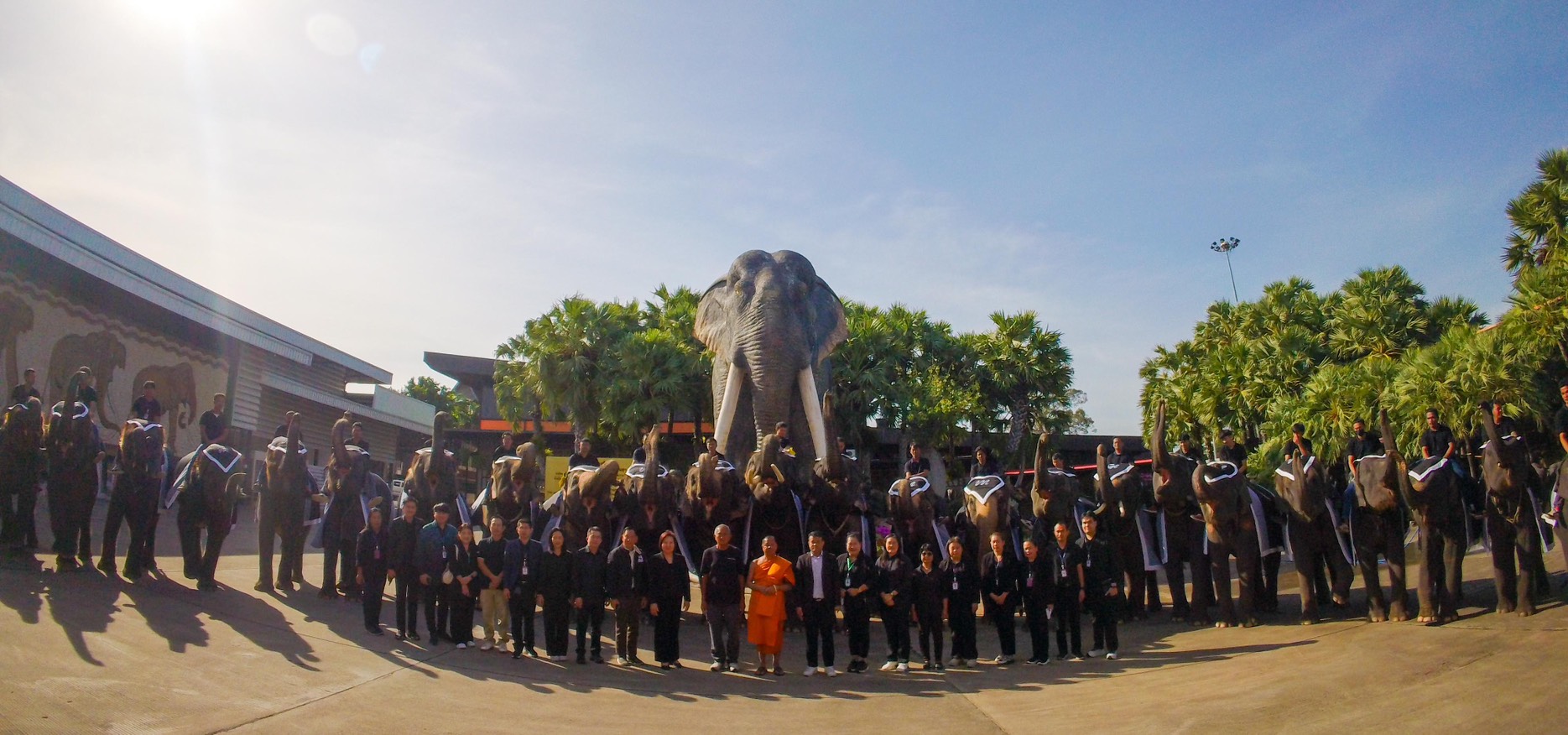 “ปางช้างลูกดก 11 เดือน คลอดแล้ว 9 เชือก S 10085512