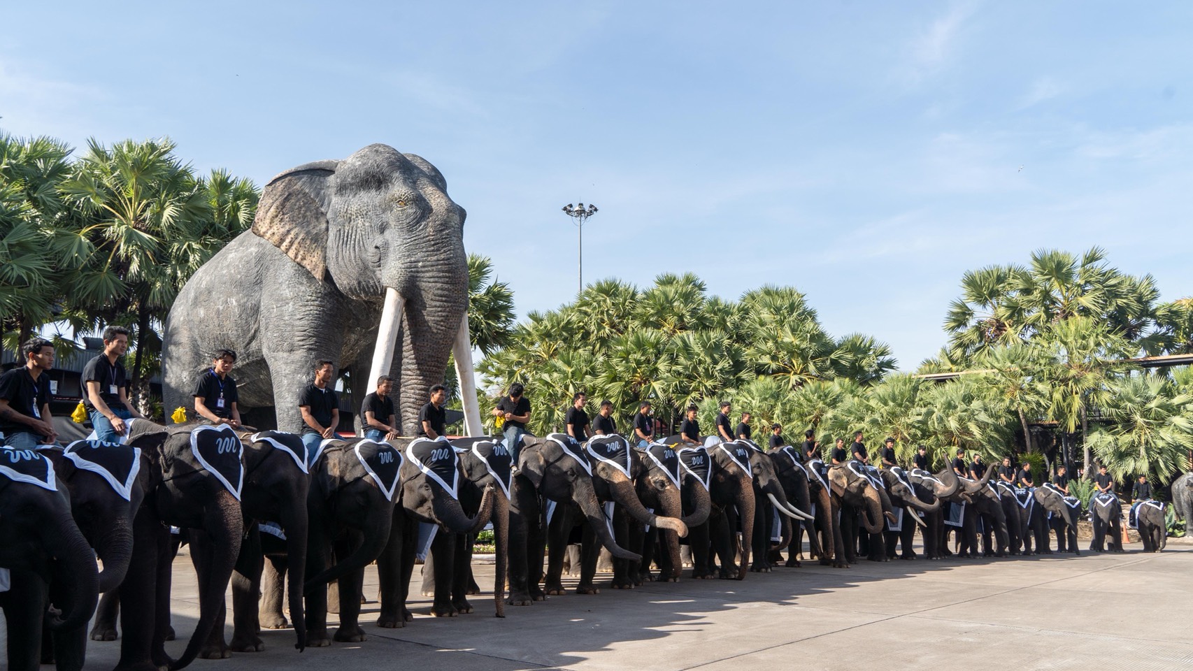 “ปางช้างลูกดก 11 เดือน คลอดแล้ว 9 เชือก S 10085529