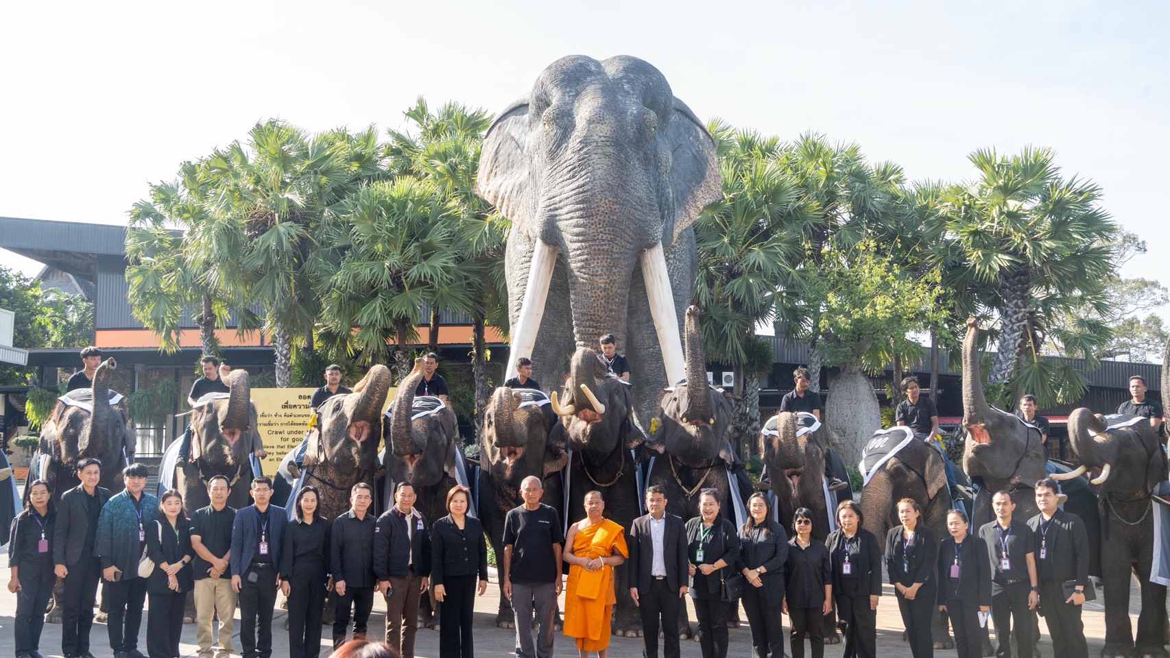 “ปางช้างลูกดก 11 เดือน คลอดแล้ว 9 เชือก S 10085547 1