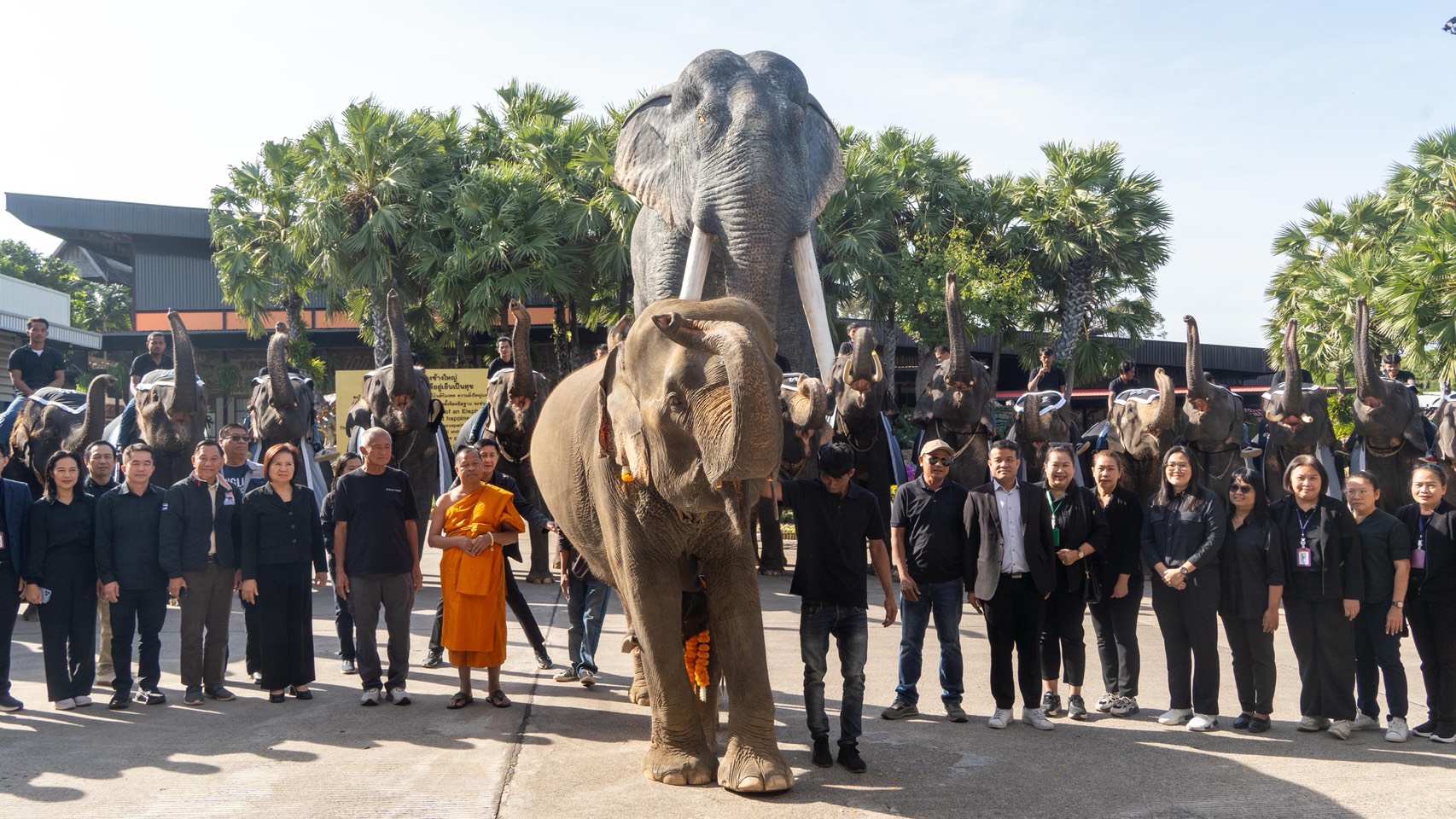 “ปางช้างลูกดก 11 เดือน คลอดแล้ว 9 เชือก S 10085593