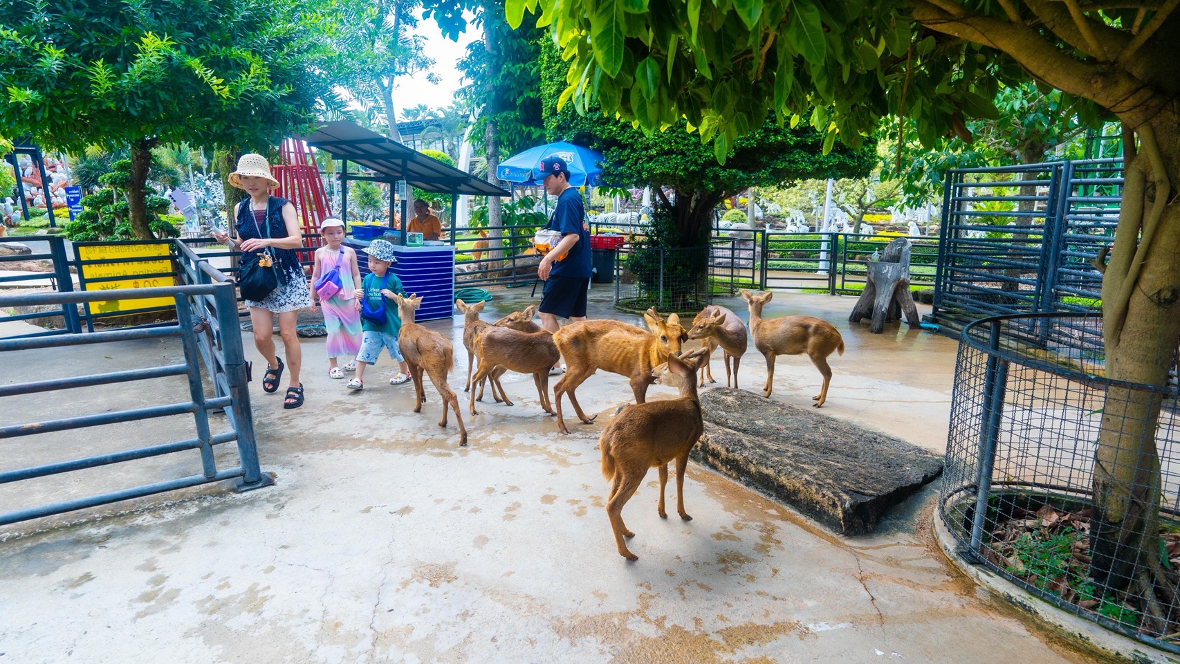 สวนนงนุชพัทยา จัดโปรโมชั่นต่อเนื่องเข้าฟรีสำหรับคนเกิดเดือนธันวาคม 2568 3 S 10159305