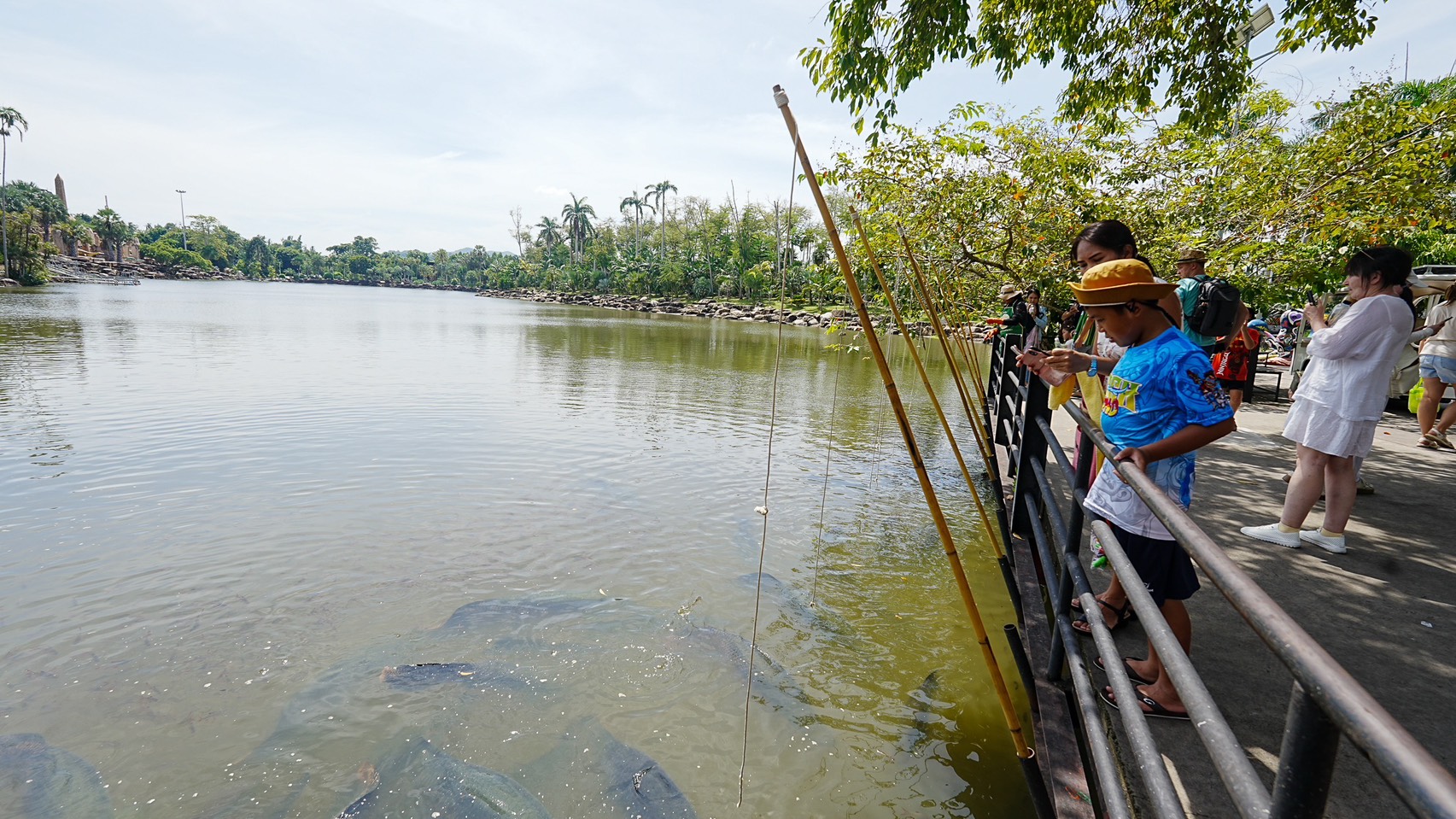 สวนนงนุชพัทยา จัดโปรโมชั่นต่อเนื่องเข้าฟรีสำหรับคนเกิดเดือนธันวาคม 2568 4 S 10159316