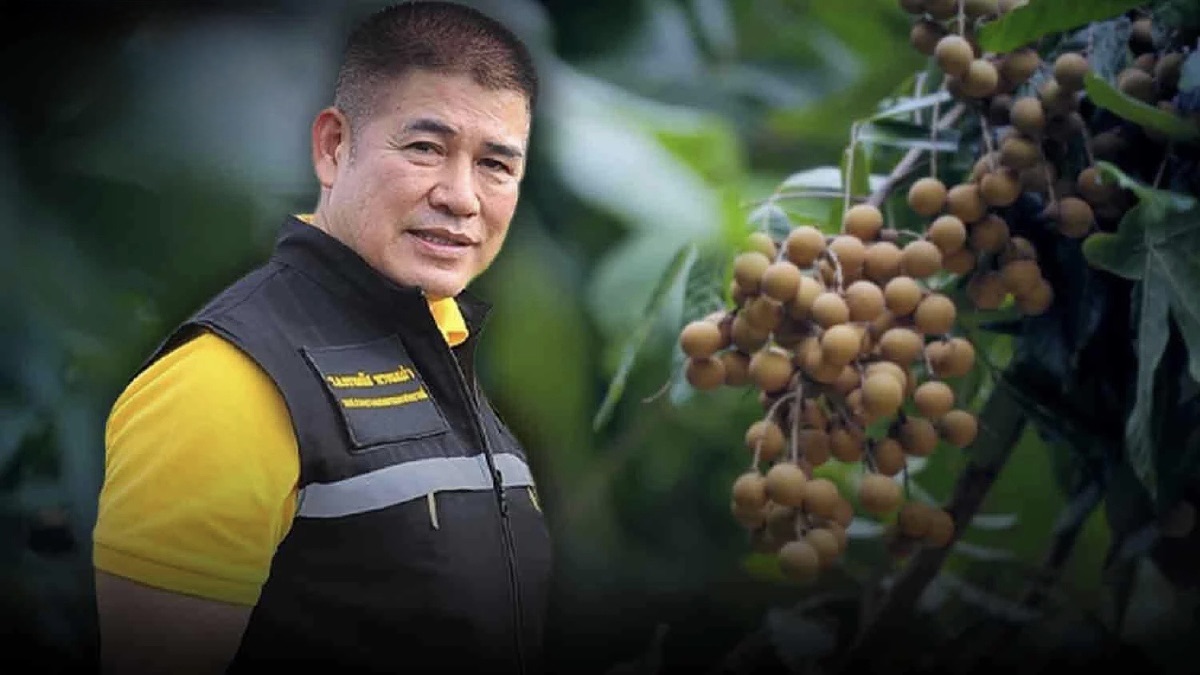 ชาวสวนลำไย เฮ ครม.เห็นชอบ“ไร่ละ 1,000 บาท ไม่เกิน 10ไร่“ โครงการพัฒนาสวนลำไยคุณภาพ หนุนตัดแต่งทรงพุ่ม–ช่อผล เพื่อเพิ่มรายได้สู่การพัฒนาอย่างยั่งยืน 3 S 109117532