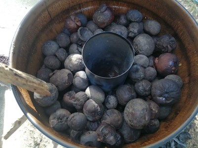 กรมส่งเสริมการเกษตร ขยายผลเกษตรกร ผลิต-ใช้ ถ่านชีวภาพ “ไบโอชาร์”เปลี่ยนเศษวัสดุเหลือทิ้งการเกษตร สู่ตัวช่วยบำรุงดิน ปุ๋ย และน้ำ ลดต้นทุน เพิ่มรายได้ เป็นมิตรต่อโลก 7 S 11354120