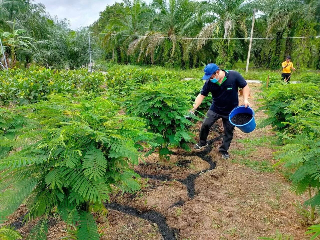 กรมส่งเสริมการเกษตร ขยายผลเกษตรกร ผลิต-ใช้ ถ่านชีวภาพ “ไบโอชาร์”เปลี่ยนเศษวัสดุเหลือทิ้งการเกษตร สู่ตัวช่วยบำรุงดิน ปุ๋ย และน้ำ ลดต้นทุน เพิ่มรายได้ เป็นมิตรต่อโลก 6 S 11354125 0