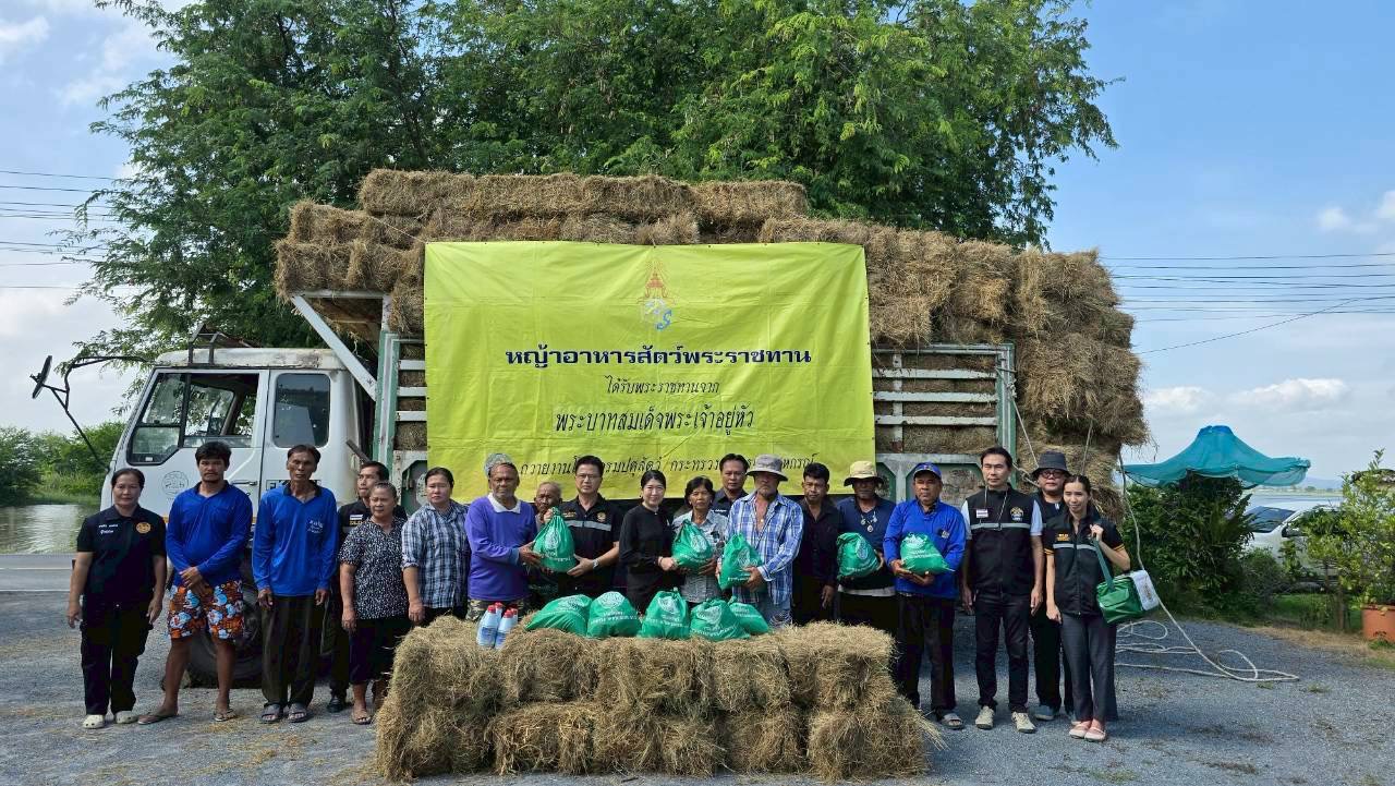 กรมปศุสัตว์ เร่งช่วยเหลือเกษตรกรผู้เลี้ยงสัตว์ที่ประสบอุทกภัย บริเวณลุ่มน้ำเจ้าพระยา 4 S 17883154