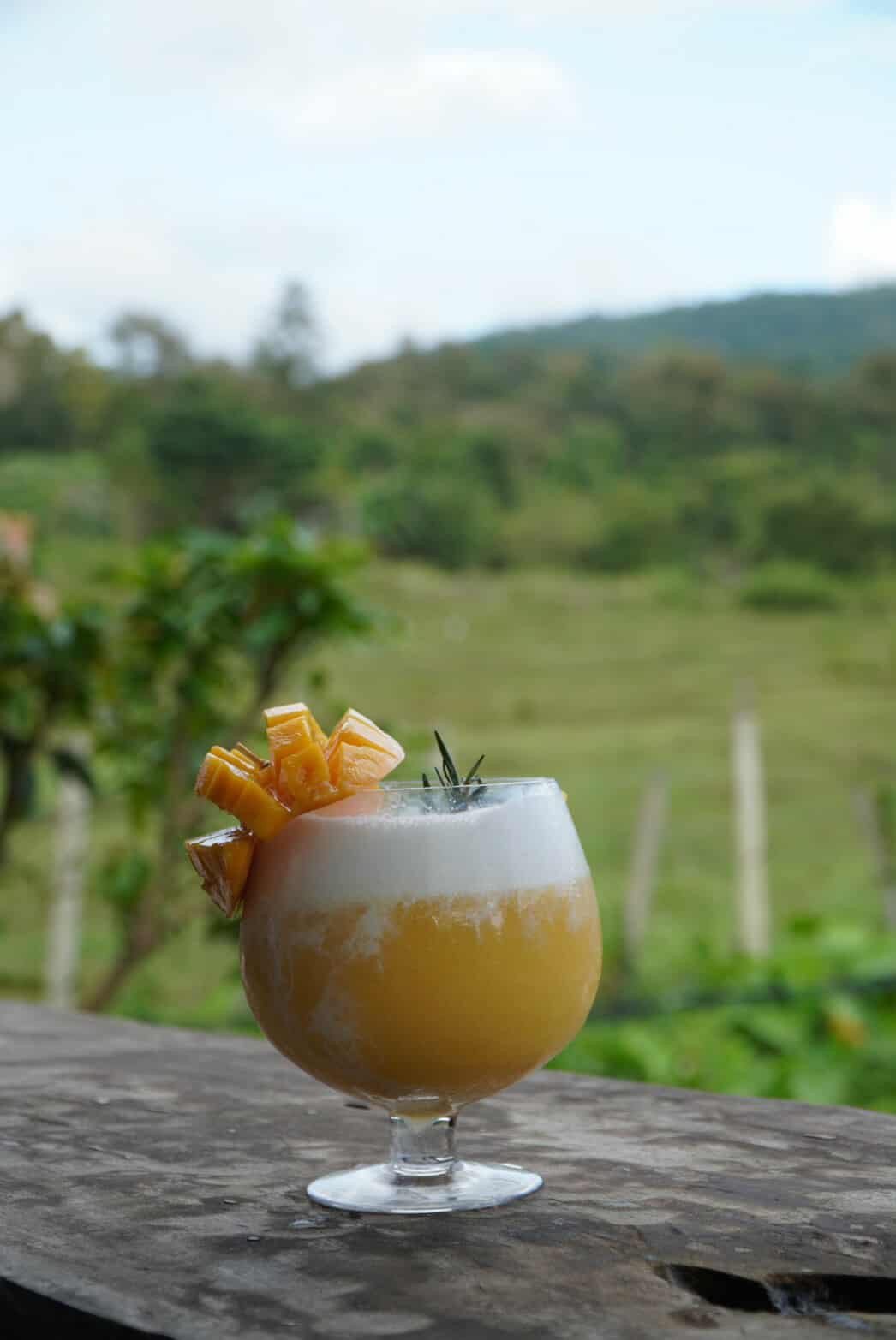 กรมปศุสัตว์ เปิดตัว S 19505225