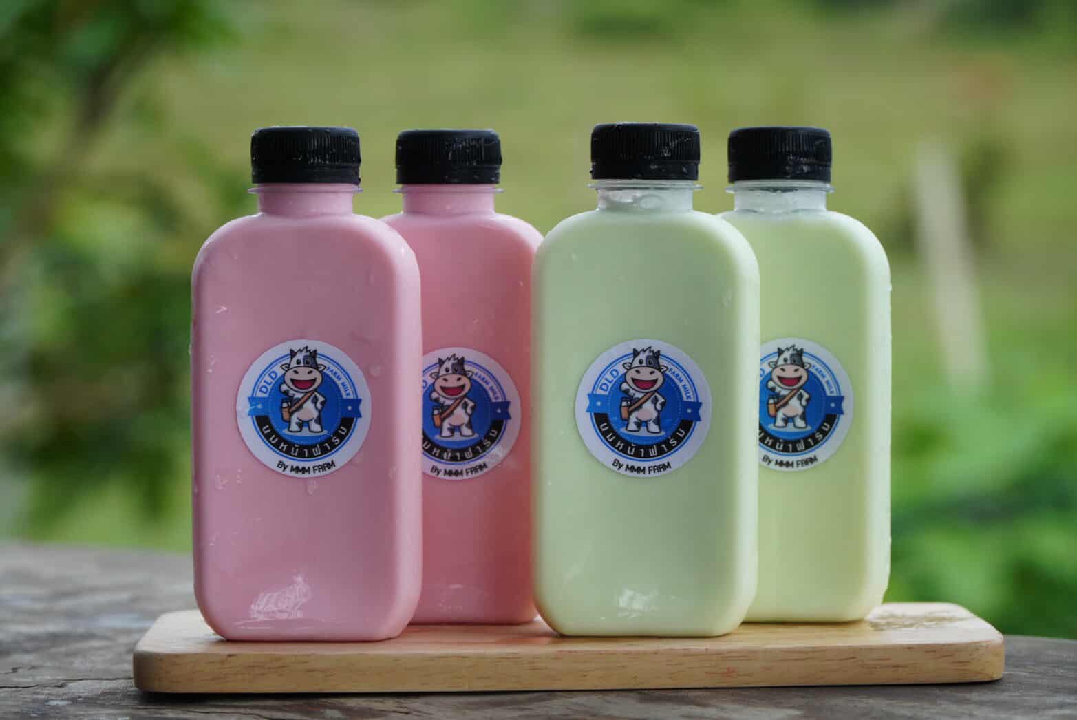 กรมปศุสัตว์ เปิดตัว S 19505234