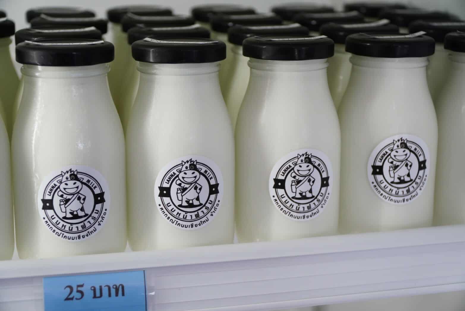 กรมปศุสัตว์ เปิดตัวยิ่งใหญ่ “ร้านนมหน้าฟาร์ม by สหกรณ์โคนมเชียงใหม่” ชูผลิตภัณฑ์นมโคไทย 100% สร้างมูลค่าเพิ่ม กระตุ้นเศรษฐกิจชุมชน 12 S 19595521