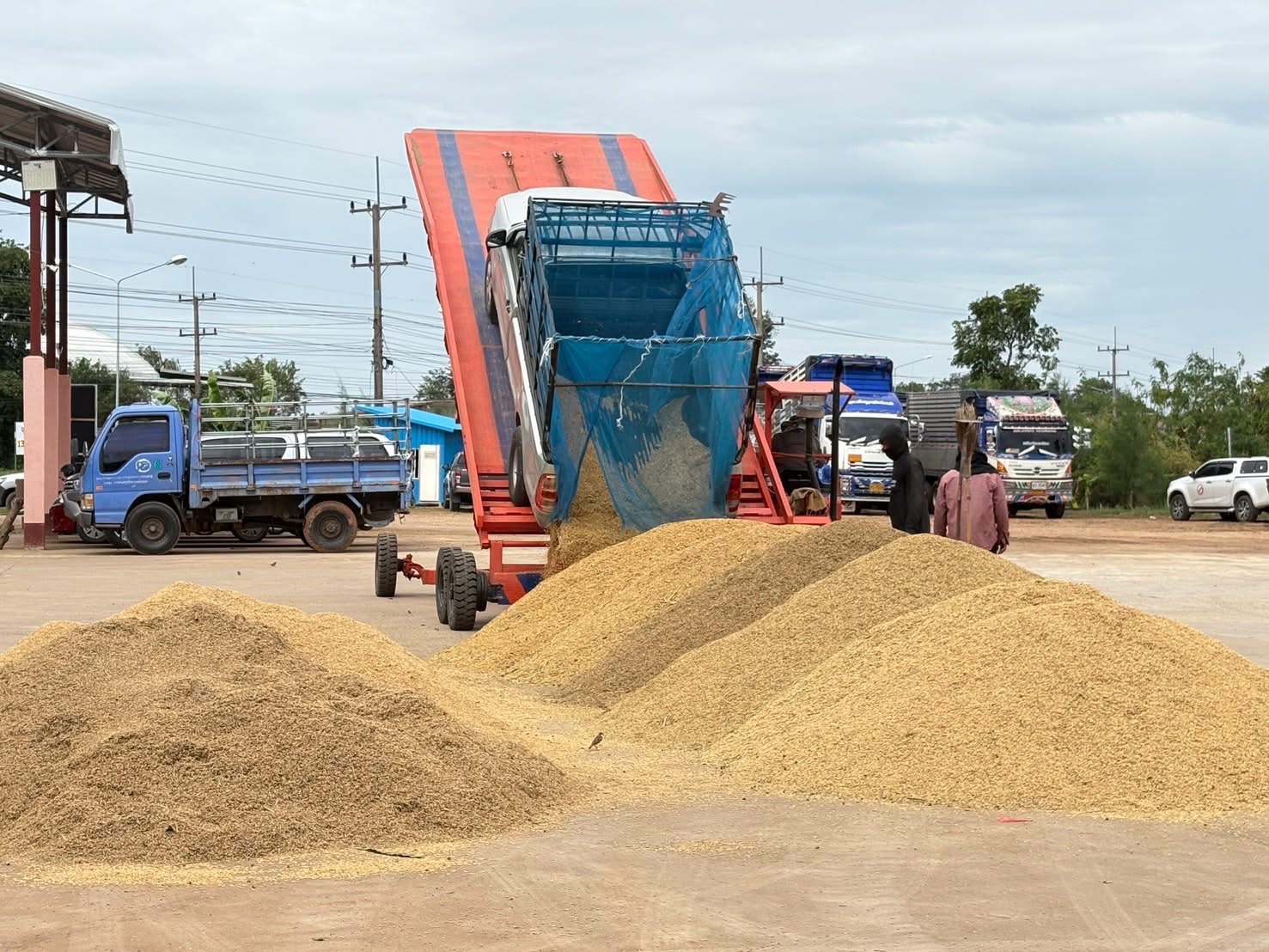 “พาณิชย์” เผย ตลาดข้าวกลับมาคึกคัก ราคาข้าวหอมดีดแตะ 16,000 บาท/ตัน พุ่งขึ้นทันที 1,000 บาท จากมาตรการดูดซับตรงจุดของ นบข. 4 S 19849227