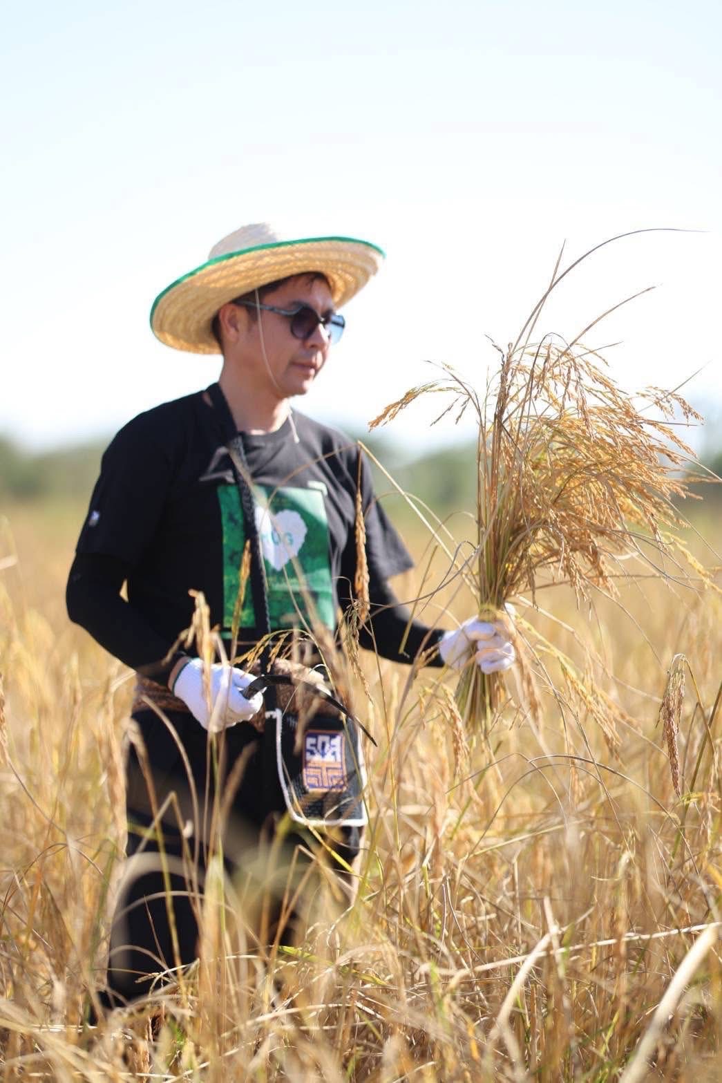 ธ.ก.ส. เปิดตัวโครงการข้าวลดโลกร้อน ลดการปล่อยก๊าซมีเทนในนาข้าว เดินหน้าสู่เป้าหมาย Carbon neutrality 2 S 19914798