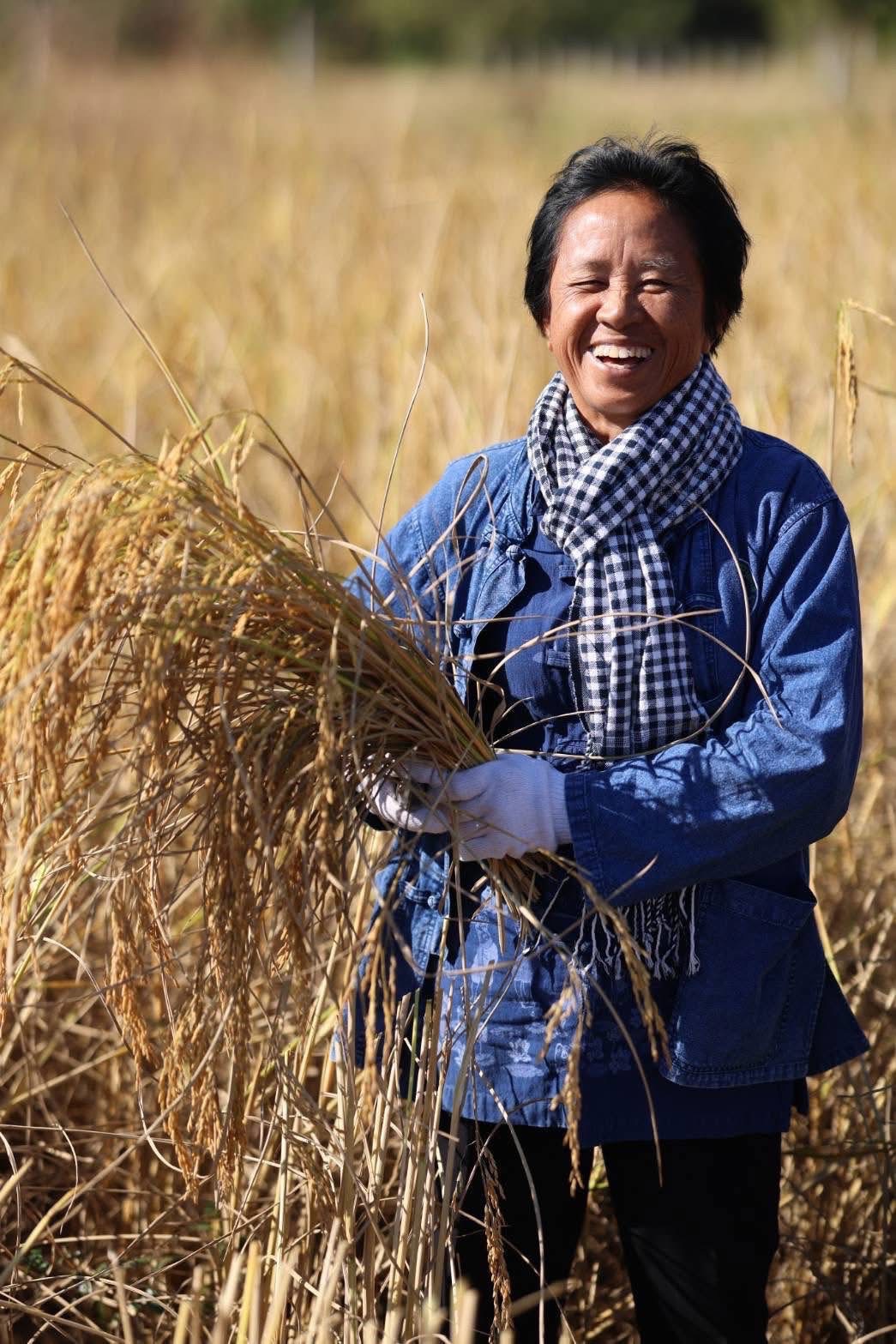 ธ.ก.ส. เปิดตัวโครงการข้าวลดโลกร้อน ลดการปล่อยก๊าซมีเทนในนาข้าว เดินหน้าสู่เป้าหมาย Carbon neutrality 7 S 19914812