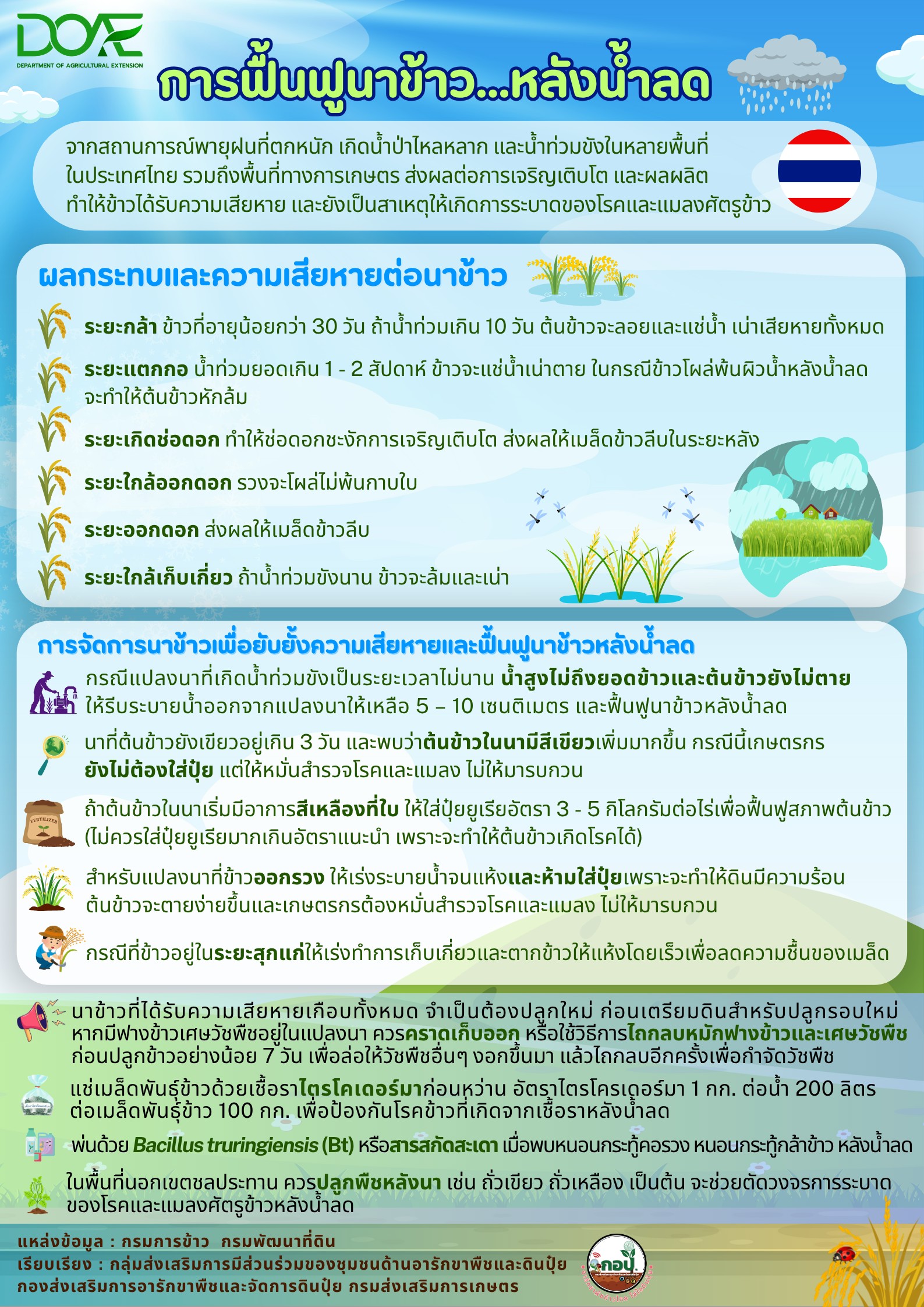 น้ำลดแล้ว…ฟื้นฟูนาข้าวอย่างไร 4 S 208658447