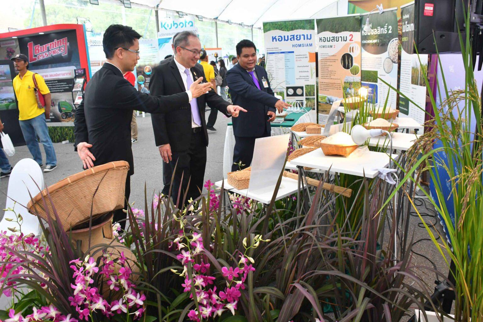 กระทรวง อว. โดย สวทช. ยืนยันพันธุ์ข้าว “หอมสยาม” มีความปลอดภัย ใช้กระบวนการคัดพันธุ์โดยธรรมชาติ ได้การรับรองพันธุ์พืชขึ้นทะเบียน (ร.พ.2) จากกรมวิชาการเกษตรเรียบร้อยแล้วในปี 2565 และอยู่ระหว่างขอรับรองพันธุ์จากกรมการข้าว เพื่อเป็น “ข้าวทางเลือก” ให้เกษตรกร 3 S 212631608