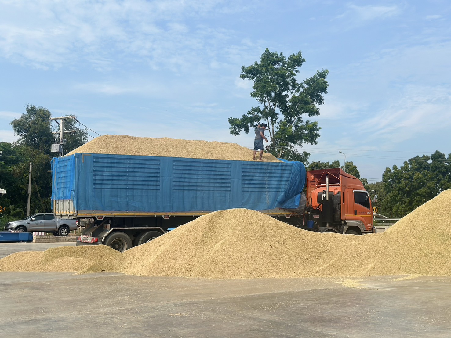 รมช.นเรศ เผยพร้อมเปิดจุดรวบรวมข้าวทั่วประเทศ หนุนสหกรณ์พยุงราคาชะลอการขาย เร่งดันข้าวคุณภาพ คาร์บอนต่ำ ยกระดับรายได้ชาวนา 5 S 3407926