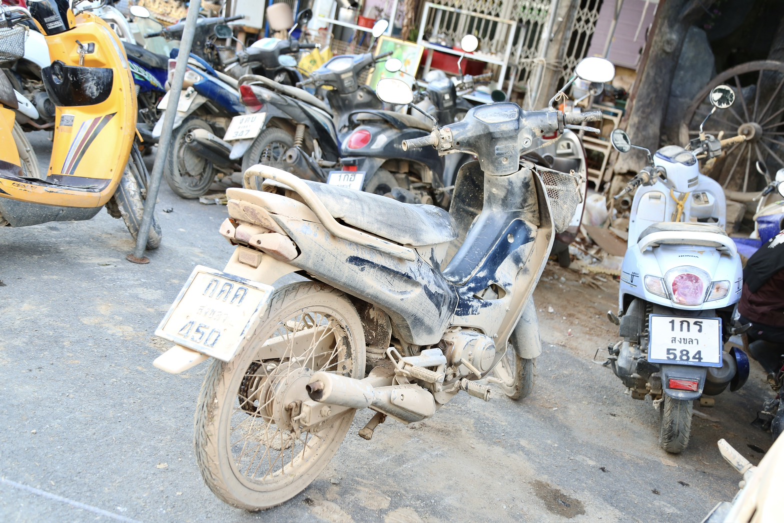 “รมว.นฤมล”ลุยฟื้นหาดใหญ่หลังน้ำลด สั่งเร่งกู้โรงเรียนเสียหายหนัก ตั้ง 50 ศูนย์ Fix It ช่วยซ่อมของประชาชนกว่า 1 หมื่นคัน ย้ำ จะเคียงข้าง ปชช.จนกว่าจะเข้าสู่ภาวะปกติ 7 S 35045739