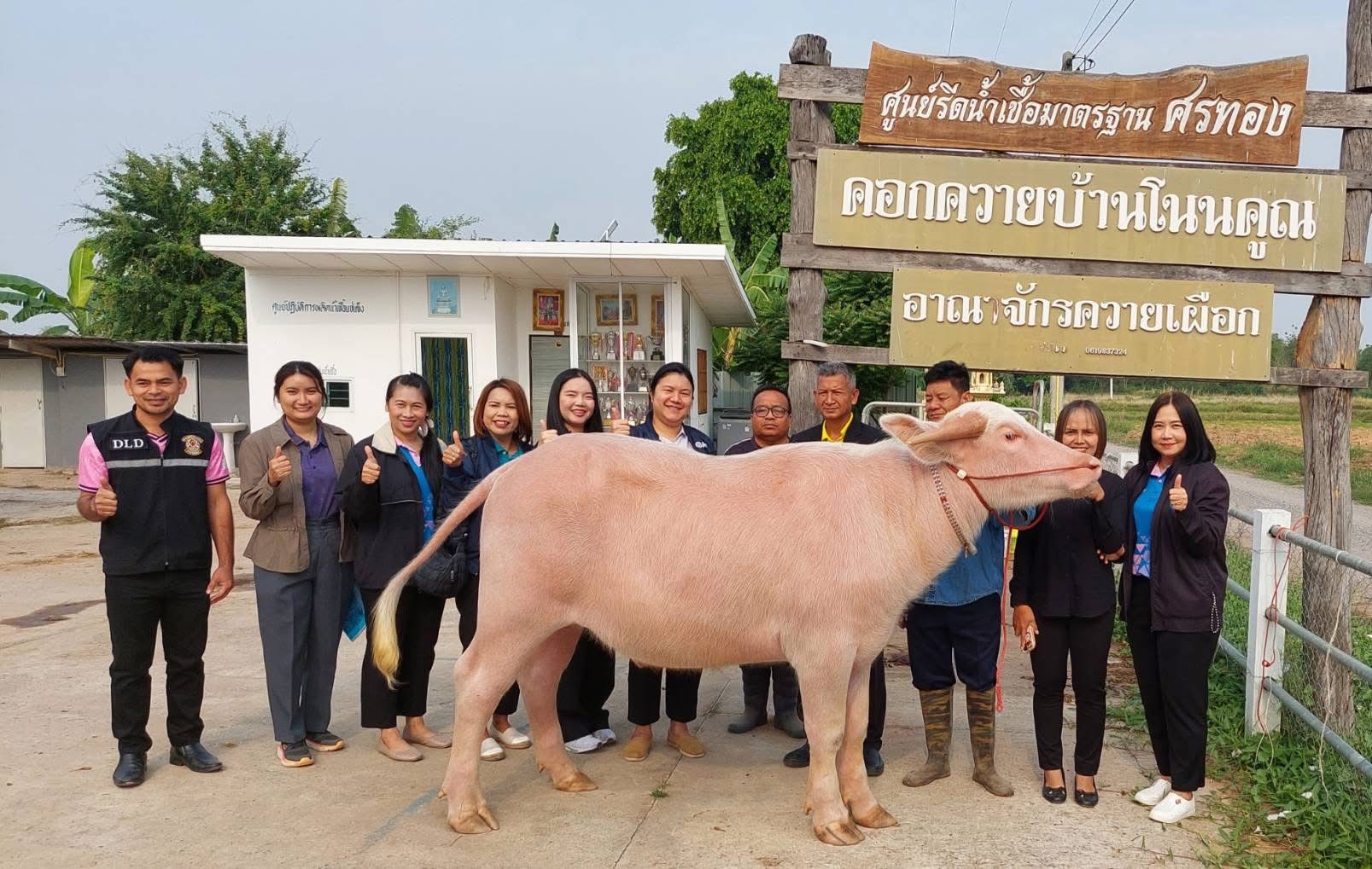 กษ. เดินหน้า “1 ท้องถิ่น 1 สินค้าเกษตรมูลค่าสูง” ปี 69 อีก 200 ท้องถิ่น มุ่งยกระดับสินค้าเกษตร 7 S 59269140 0
