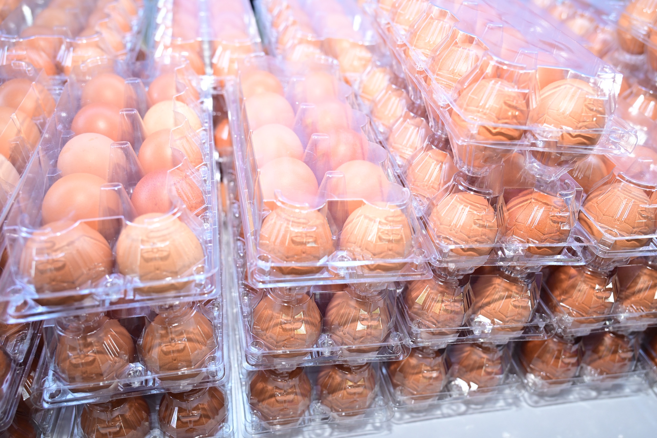 รมช.นเรศ ลงพื้นที่เชียงใหม่ เปิดโครงการกิจกรรมผ่าตัดสุนัข – แมว และฉีดวัคซีนเพื่อป้องกันโรคพิษสุนัขบ้า ปีงบประมาณ พ.ศ. 2569 พร้อมรับฟังปัญหาความเดือดร้อนของเกษตรกร 7 S 62079001