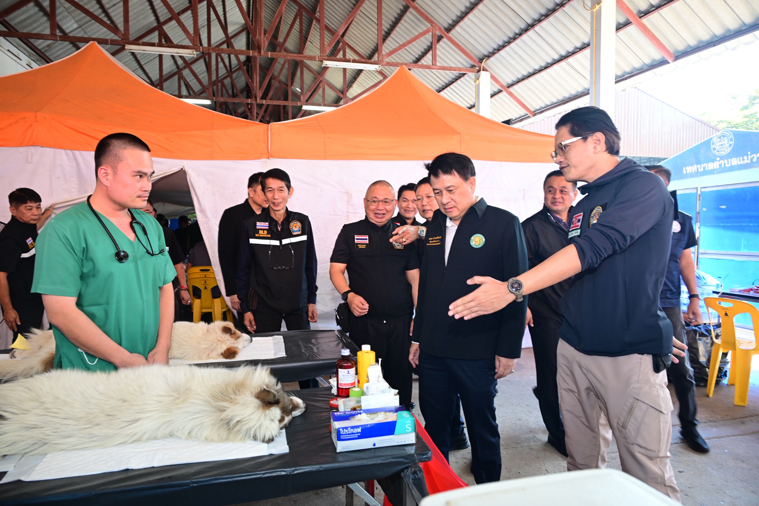 รมช.นเรศ ลงพื้นที่เชียงใหม่ เปิดโครงการกิจกรรมผ่าตัดสุนัข – แมว และฉีดวัคซีนเพื่อป้องกันโรคพิษสุนัขบ้า ปีงบประมาณ พ.ศ. 2569 พร้อมรับฟังปัญหาความเดือดร้อนของเกษตรกร 6 S 62079011