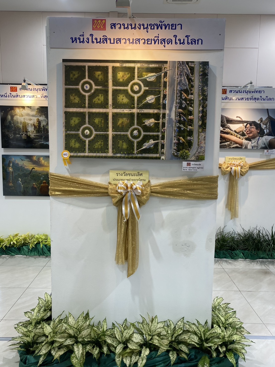 สวนนงนุชพัทยาพร้อมผู้ร่วมประกวดภาพถ่าย ร่วมน้อมถวายอาลัยสมเด็จพระพันปีหลวง ก่อนพิธีมอบรางวัล “Wonderful Nongnooch Garden 2025” 8 S 9413103