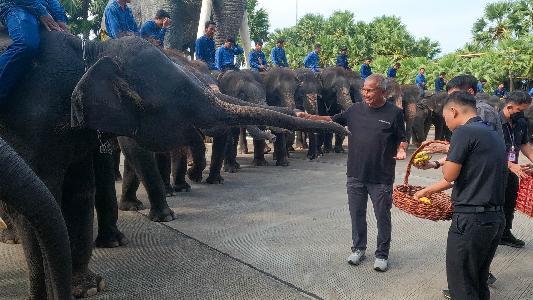 “พี่น้องต่างครรภ์แห่งสวนนงนุชพัทยา” เปิดตำนานอบอุ่นสองชีวิตใหม่ลูกช้างคู่สายเลือดเดียวกัน 3 S 9528642