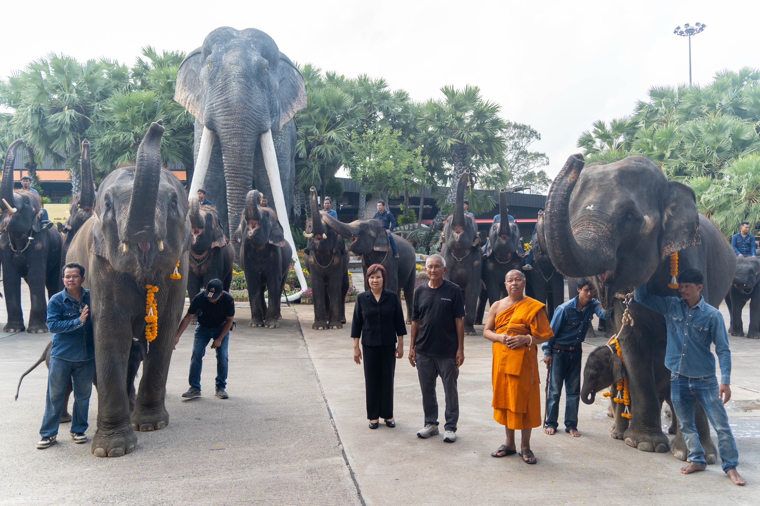 “พี่น้องต่างครรภ์แห่งสวนนงนุชพัทยา” เปิดตำนานอบอุ่นสองชีวิตใหม่ลูกช้างคู่สายเลือดเดียวกัน 4 S 9528644