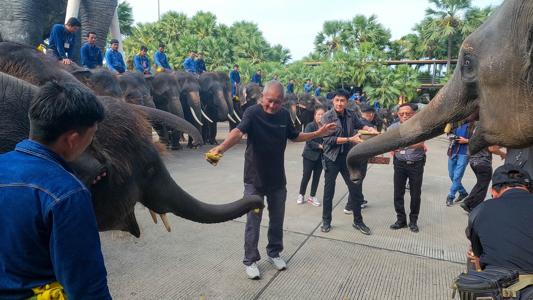 “พี่น้องต่างครรภ์แห่งสวนนงนุชพัทยา” เปิดตำนานอบอุ่นสองชีวิตใหม่ลูกช้างคู่สายเลือดเดียวกัน 5 S 9528645