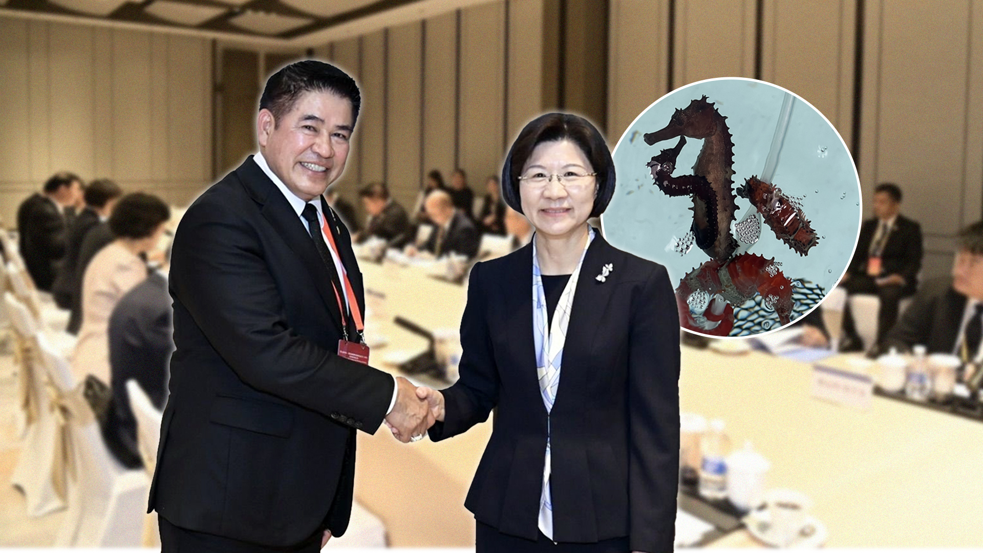 ก.เกษตรฯ เดินหน้าเจรจา ดัน “ม้าน้ำตากแห้ง” กลับเข้าสู่ตลาดจีนอีกครั้ง หลังกรมประมงเพิ่มศักยภาพการเพาะเลี้ยงเชิงพาณิชย์หนุนสร้างโอกาสทางเศรษฐกิจให้เกษตรกรไทย 1 ก.เกษตรฯ.เดินหน้าเจรจา2