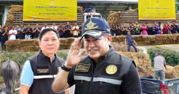 กรมปศุสัตว์ 2