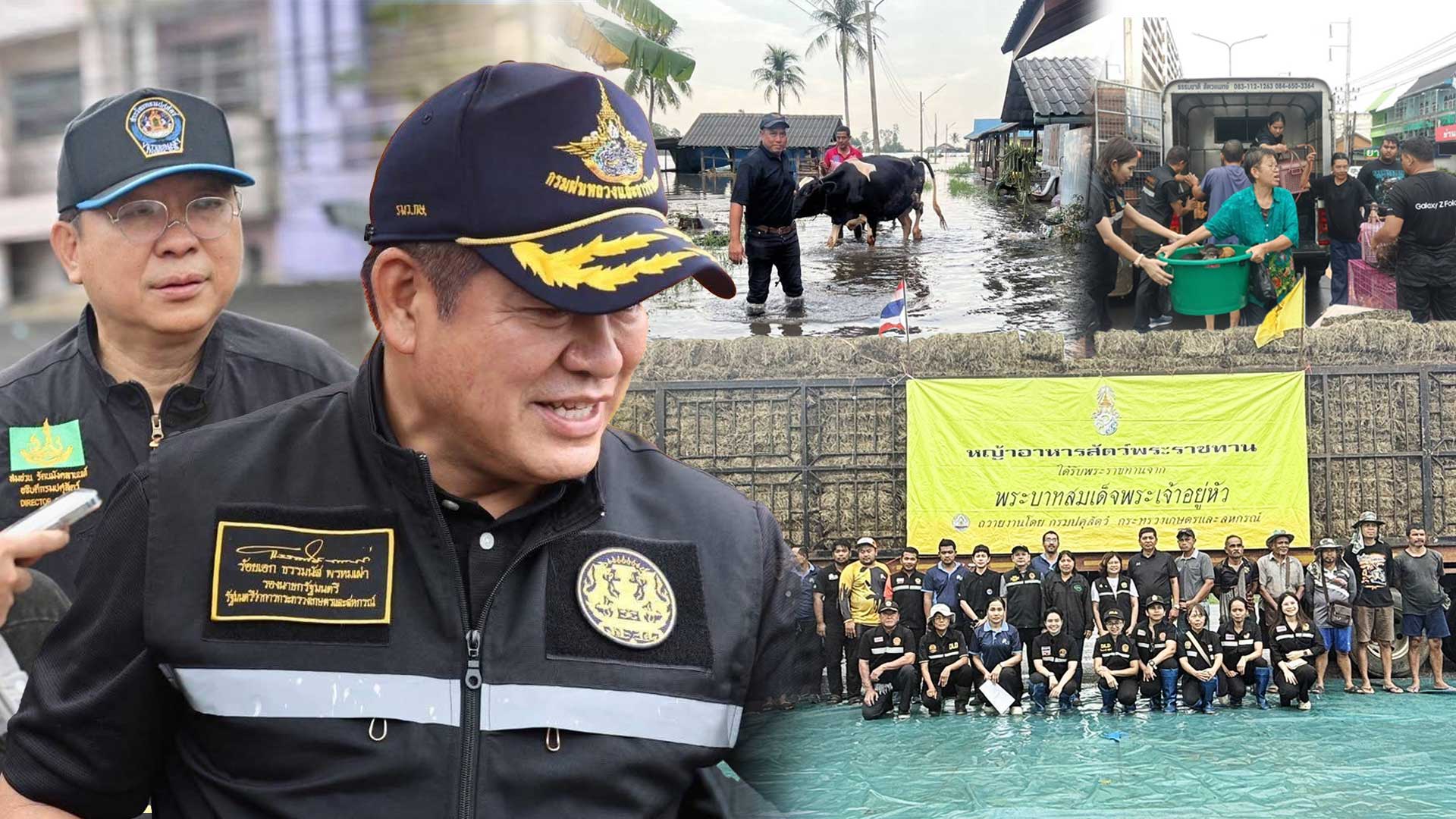 กรมปศุสัตว์เดินหน้า2