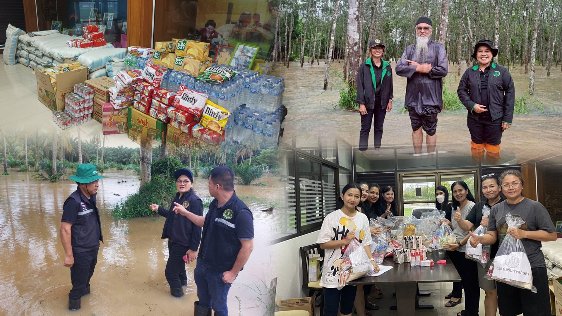 กรมส่งเสริมการเกษตร2 3